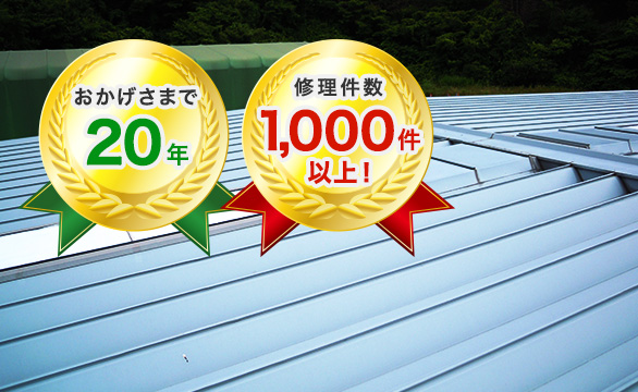 全ての雨漏り解決